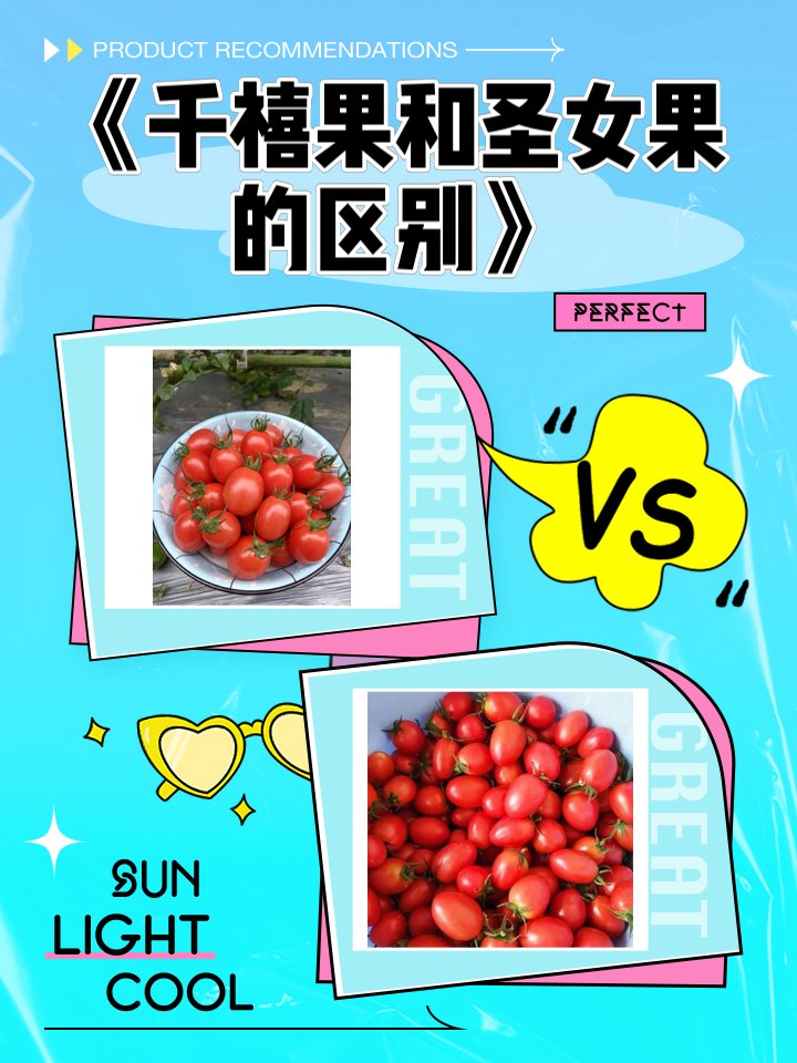 孕妇可以吃吗千禧果是转基因的吗