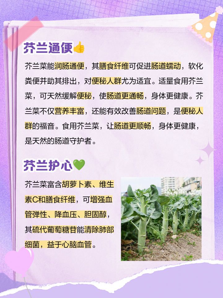 2025年12月17日 第40页