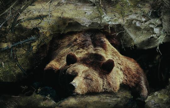 2025年12月17日 第39页