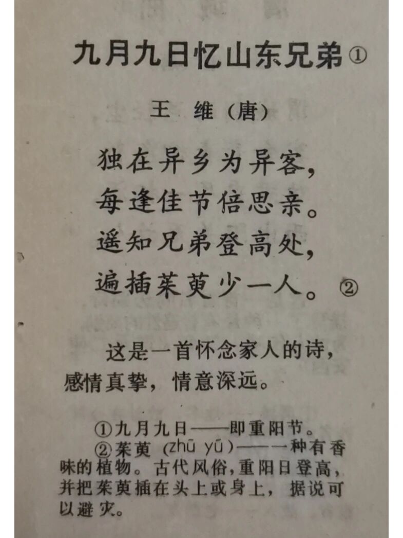 独在异乡为异客完整古诗