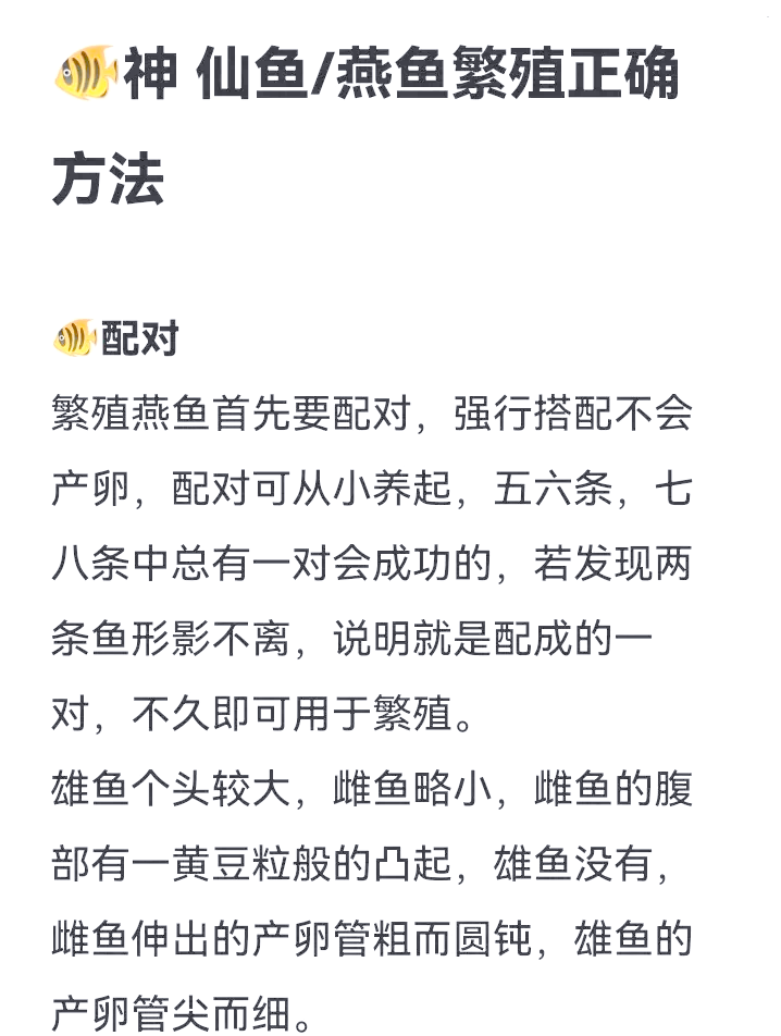 黑燕鱼怎么养？黑燕鱼养殖