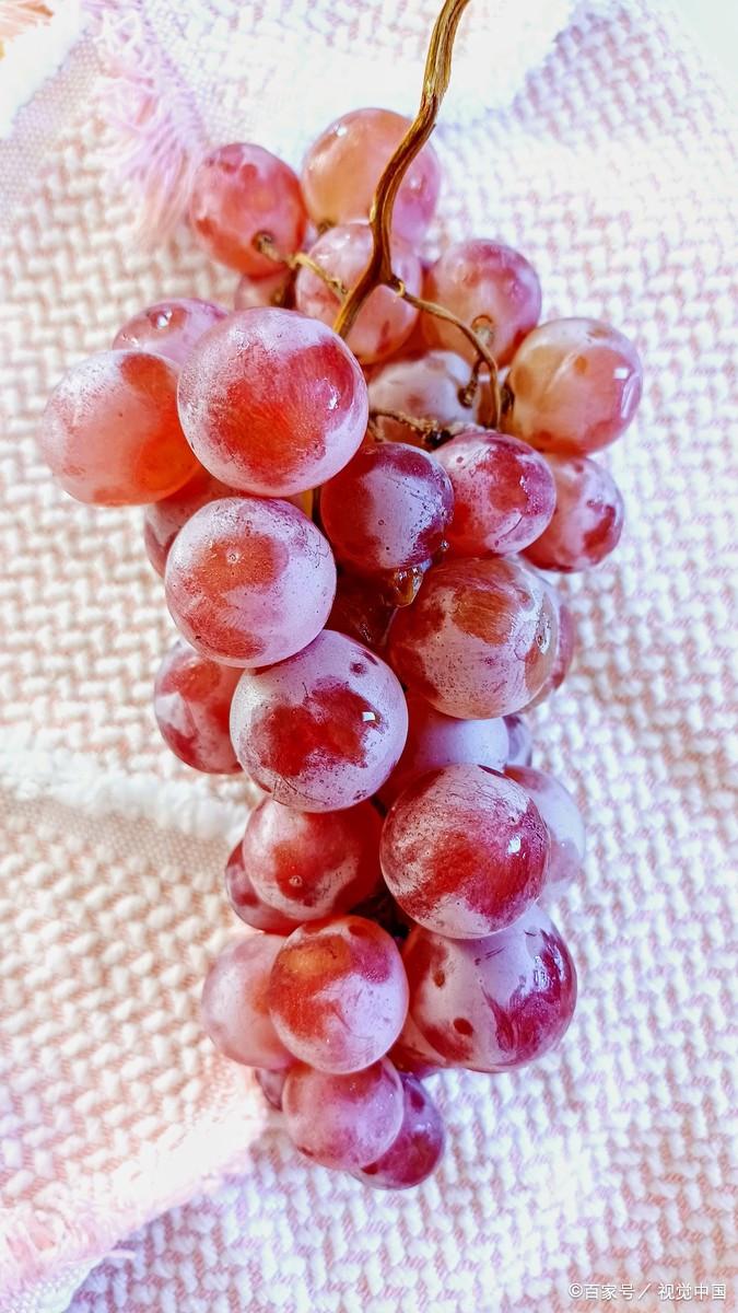 面粉洗葡萄还是淀粉洗葡萄