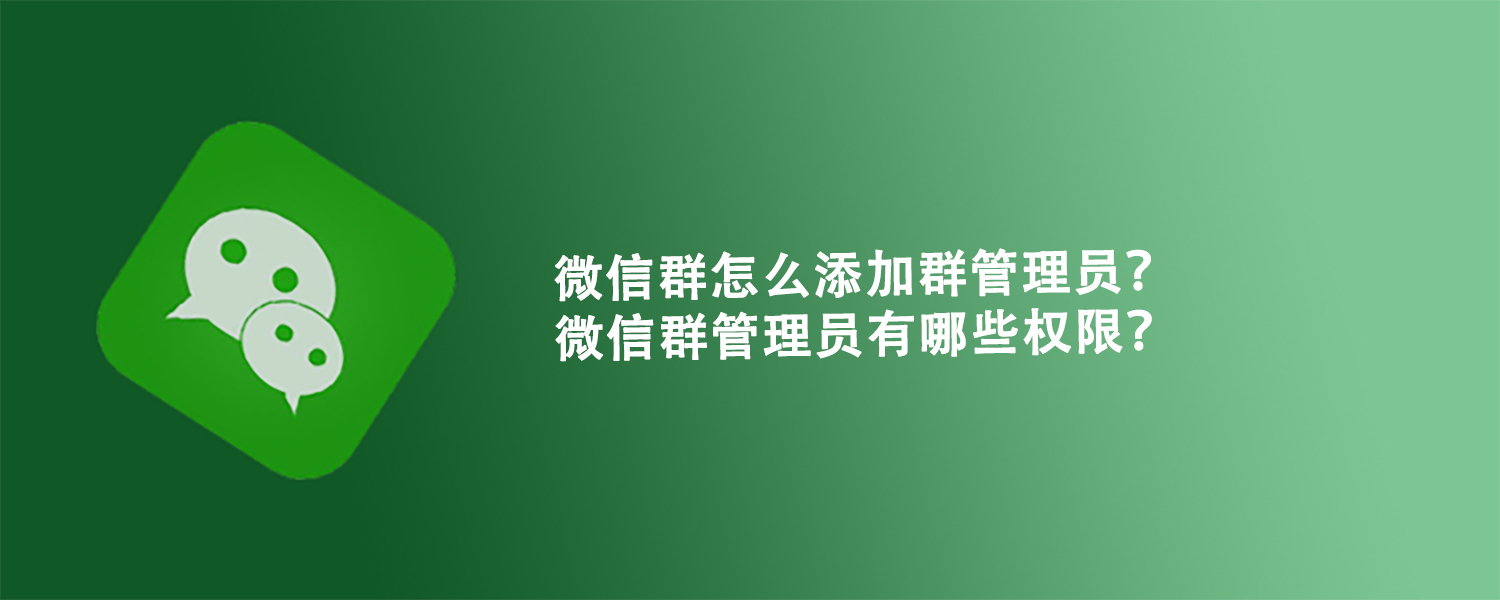 微信群为什么设置不了群管理员