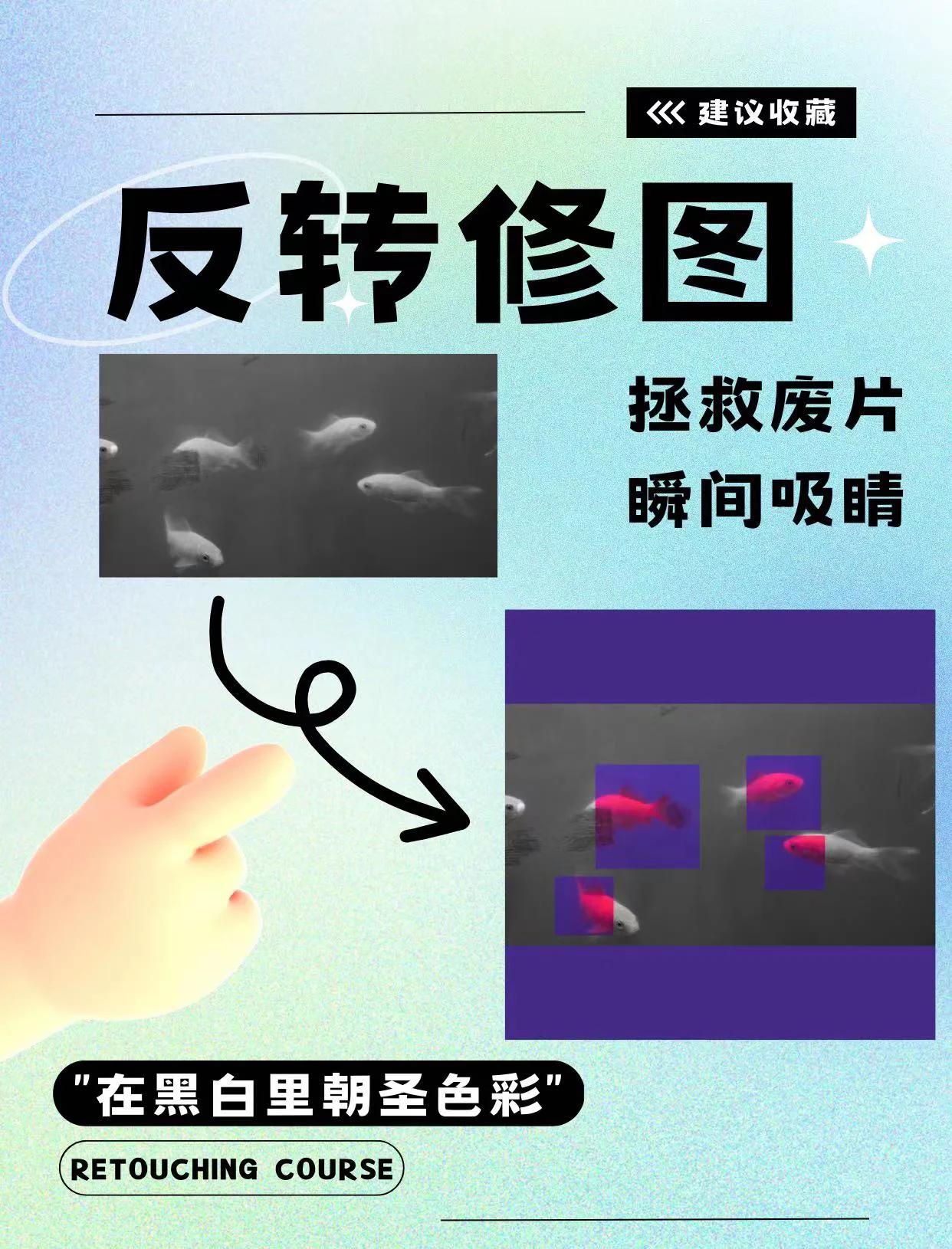 苹果相机拍出反着怎么调