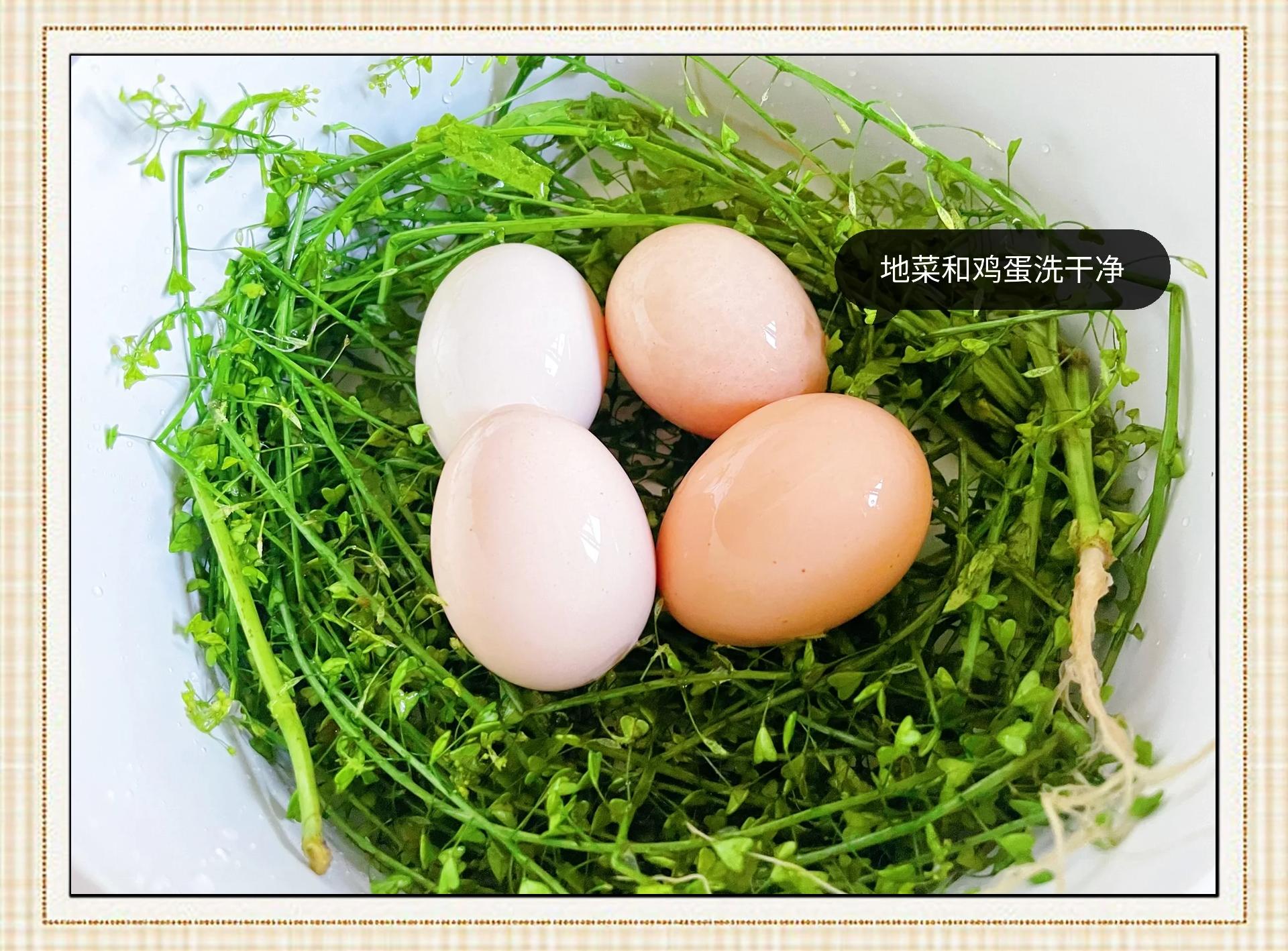 地菜煮鸡蛋,地菜煮鸡蛋做法