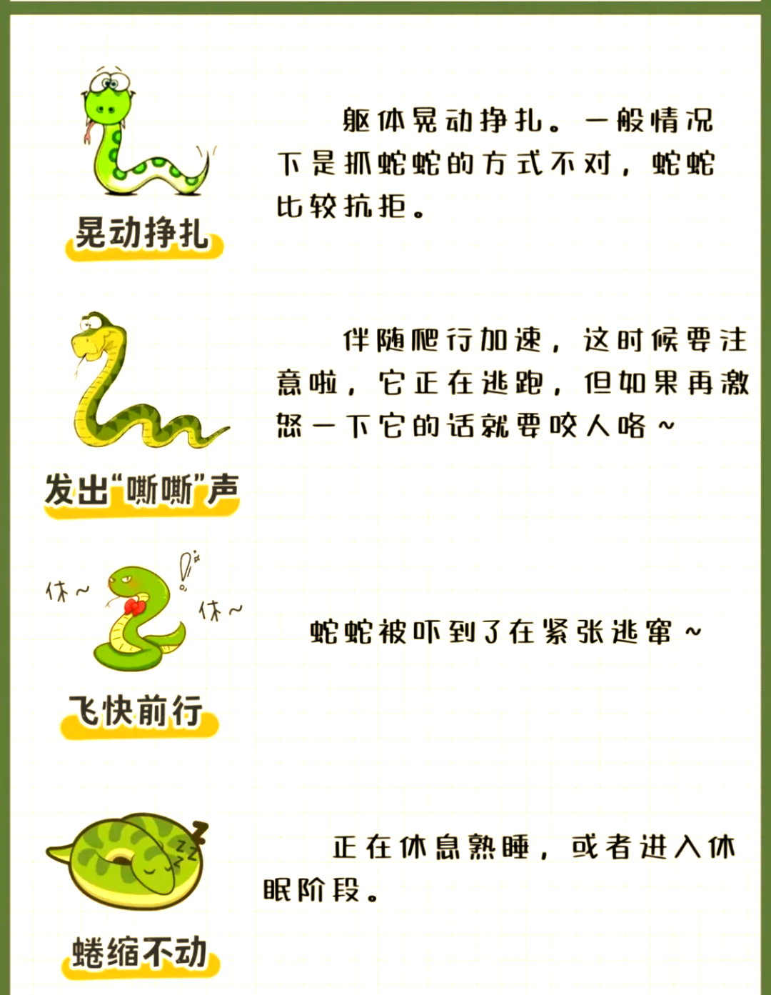 白天遇见蛇有什么预兆