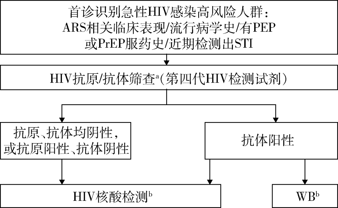 2025年12月18日 第41页