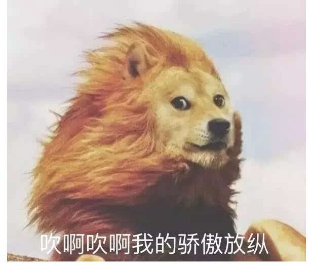 吹啊吹啊我的骄傲放纵是什么歌名