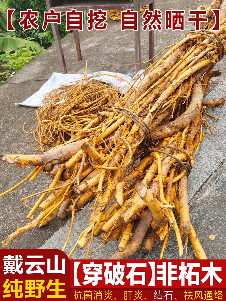 穿破石的功效与作用,穿破石的副作用