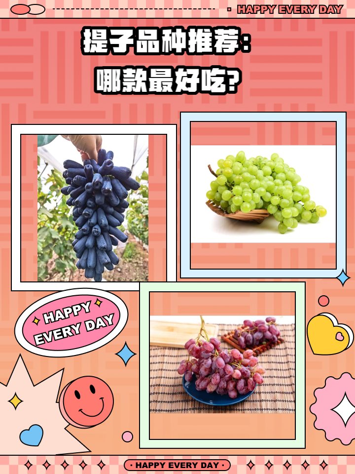 提子和葡萄的区别是什么