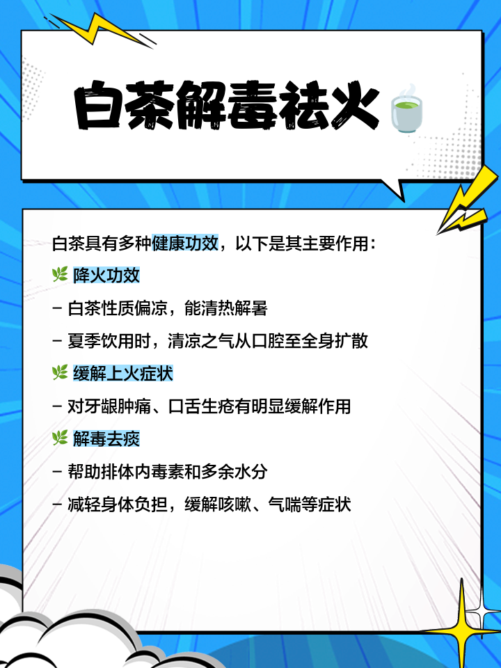 白茶的功效与作用禁忌症