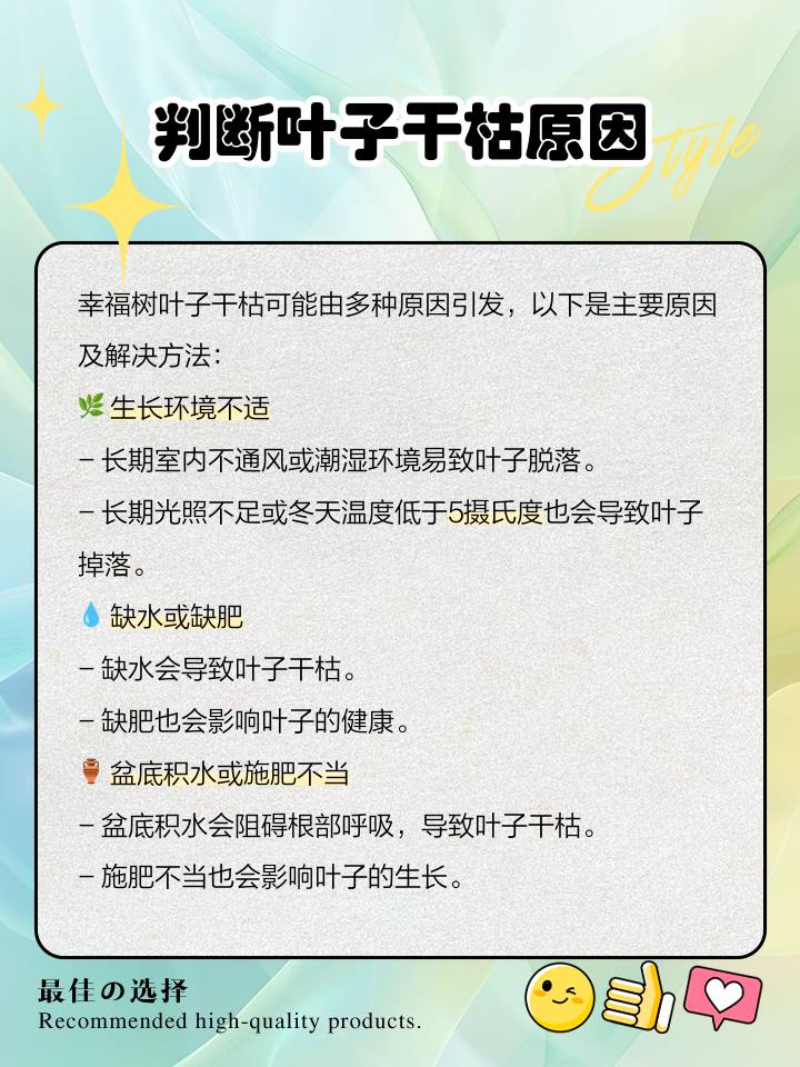 幸福树叶子一碰就掉叶子发干怎么办
