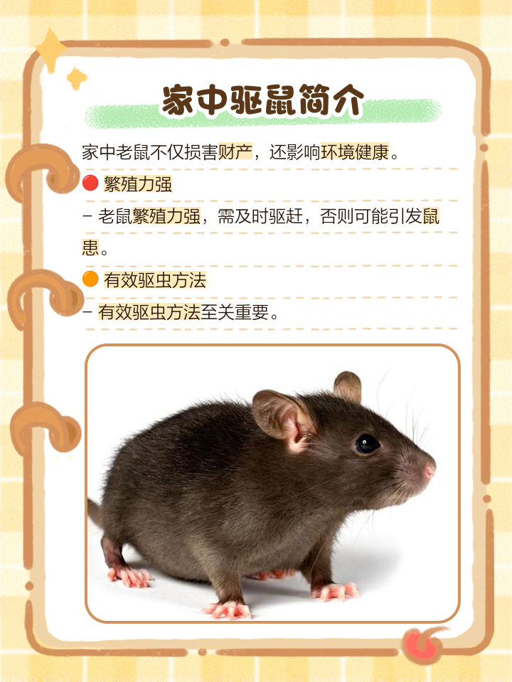 家里有老鼠跑进来怎么办