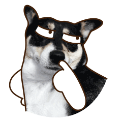 好友qq动态看不到点赞的人