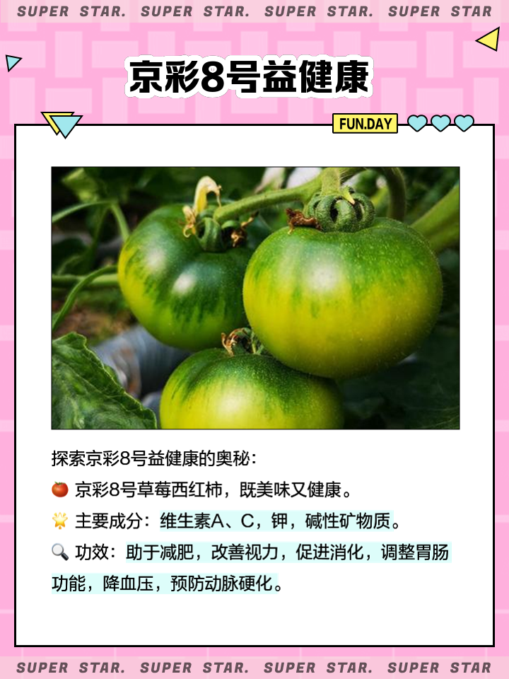 北方西红柿几月份种植最好