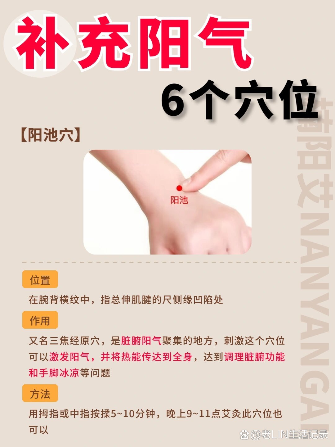 膊阳池的准确位置和作用