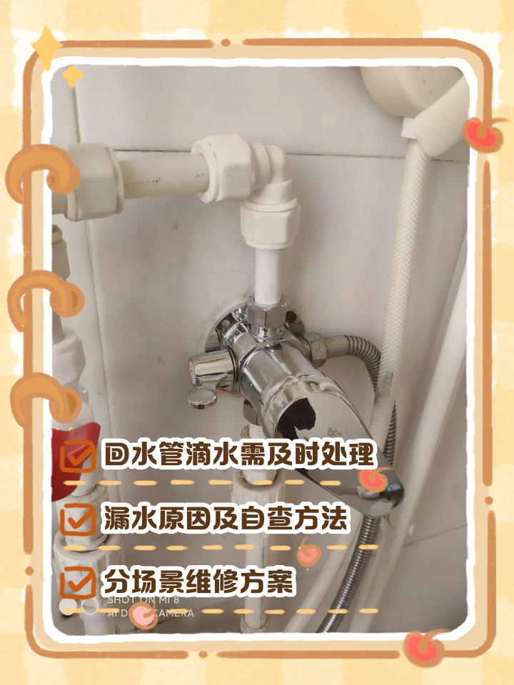 2025年12月19日 第38页