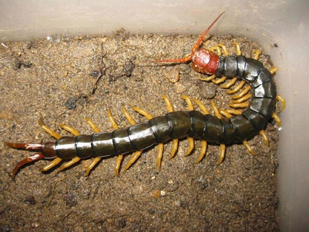 2025年12月19日 第31页