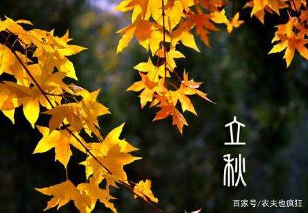 秋老虎从什么时候开始