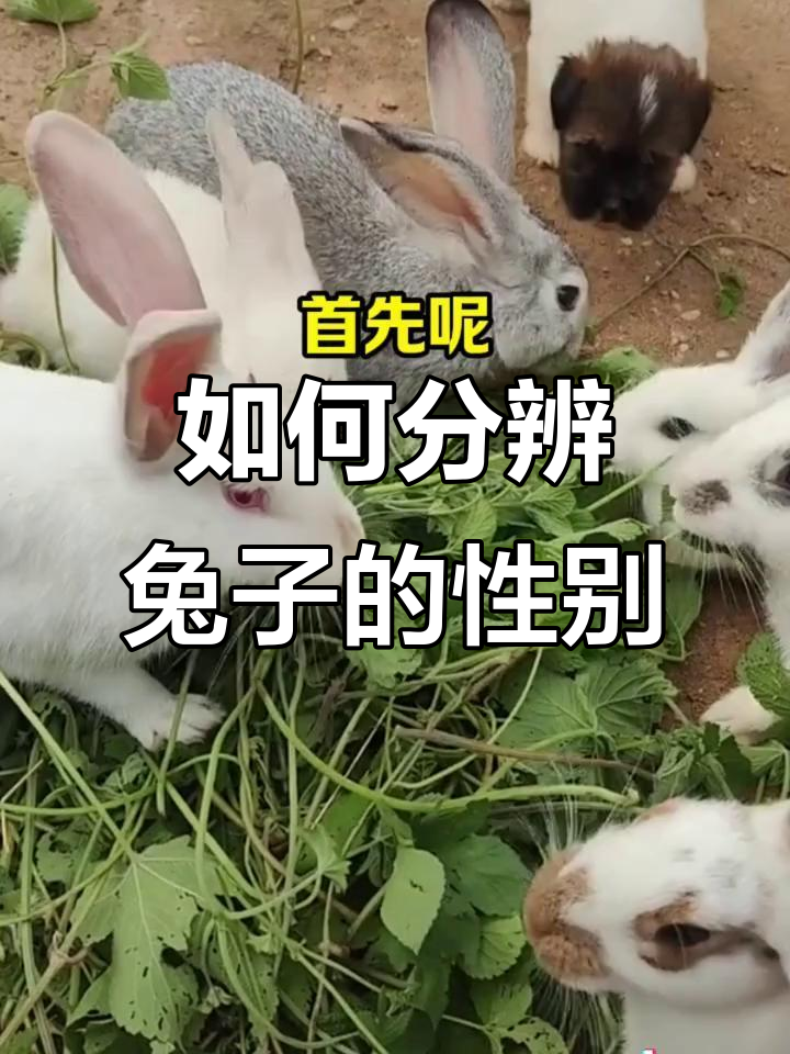 2025年12月19日 第29页