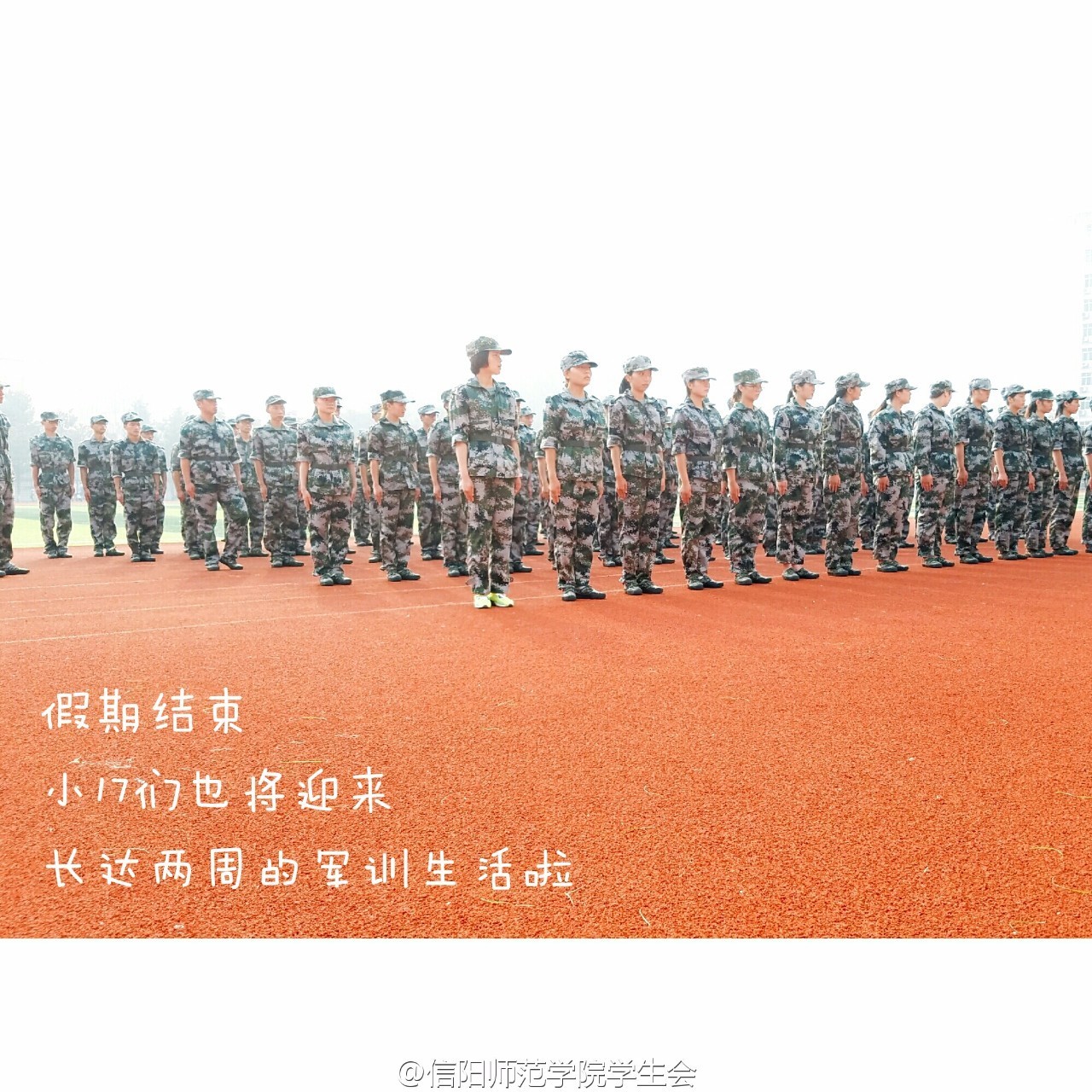 这是一个晴朗的早晨歌词