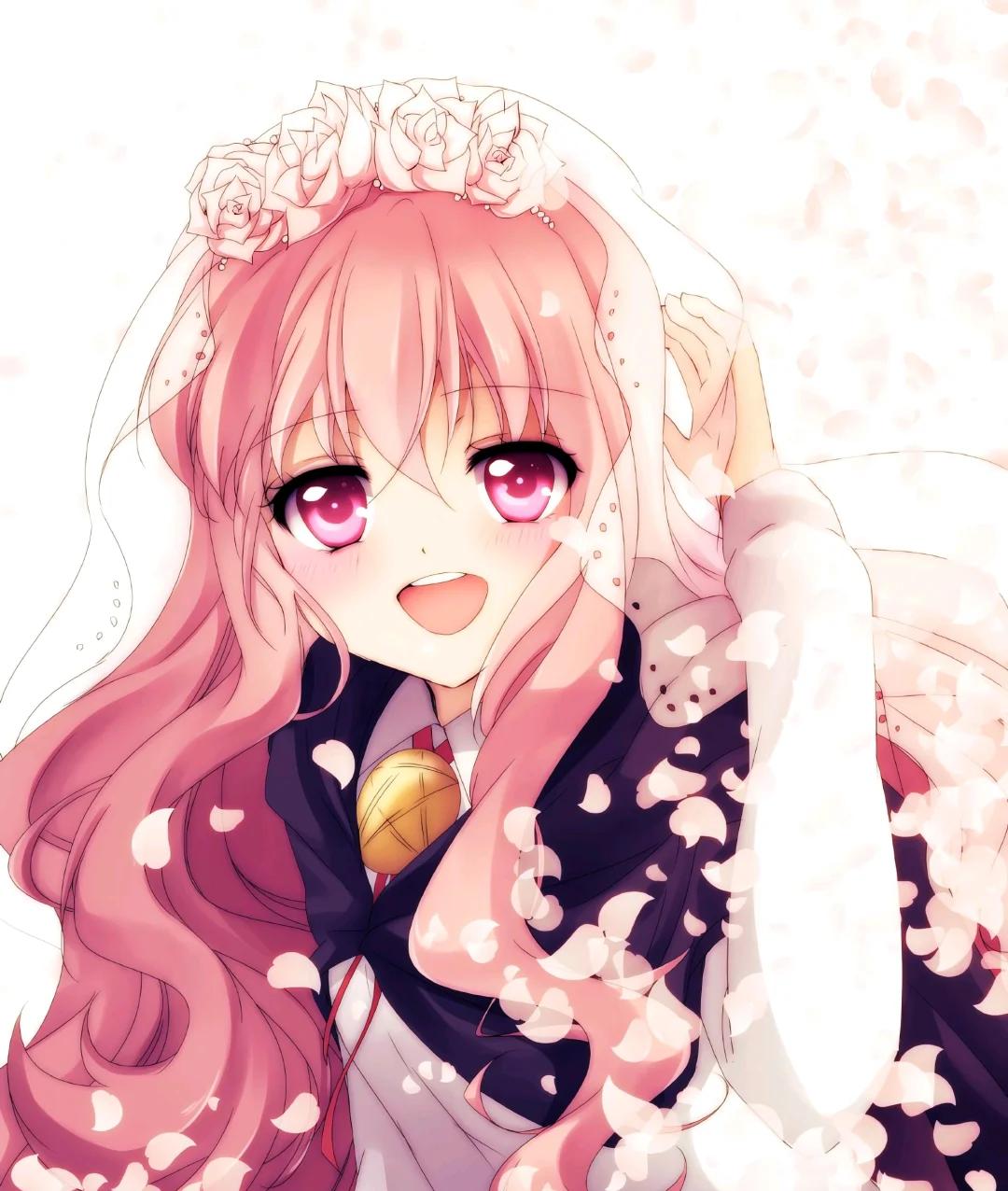 动漫说的钉宫病是什么意思？