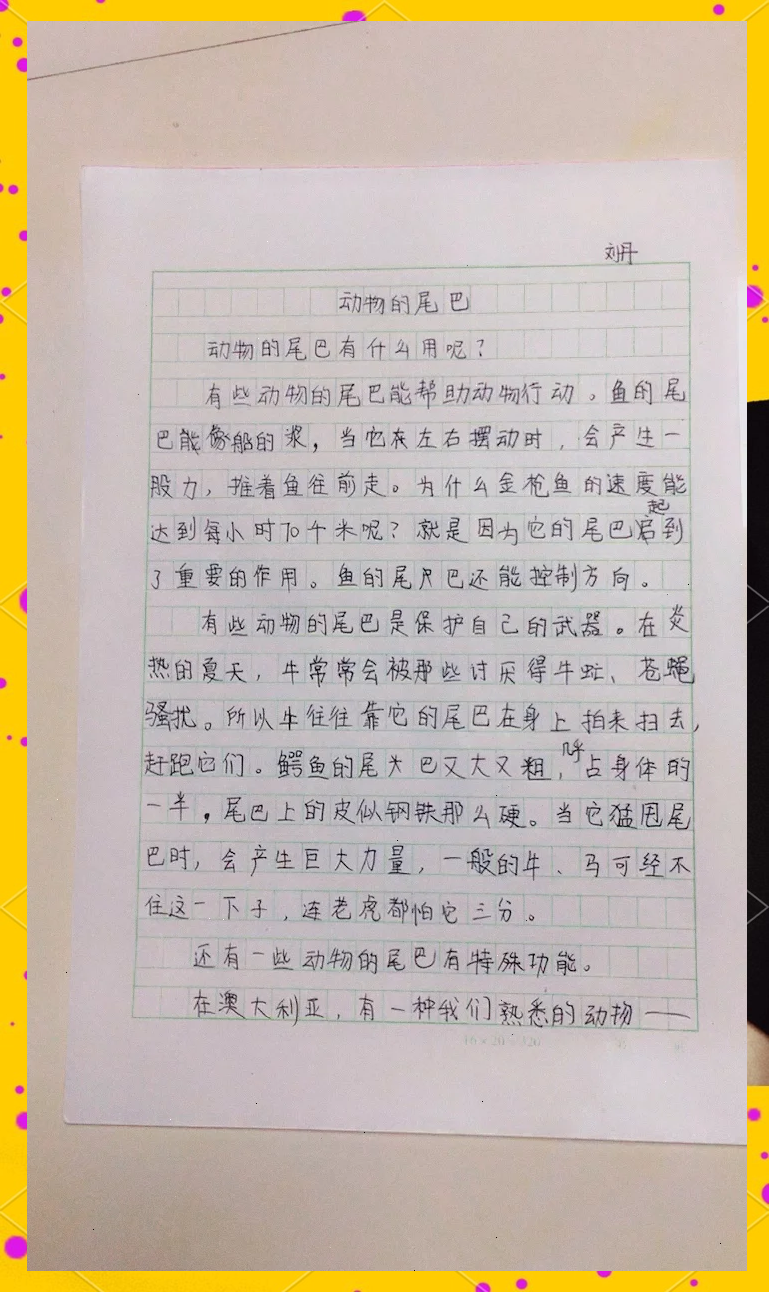 2025年12月19日 第19页