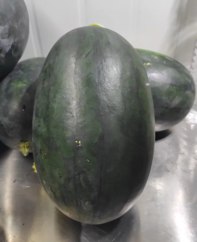 黑美人西瓜怎样挑选最好吃