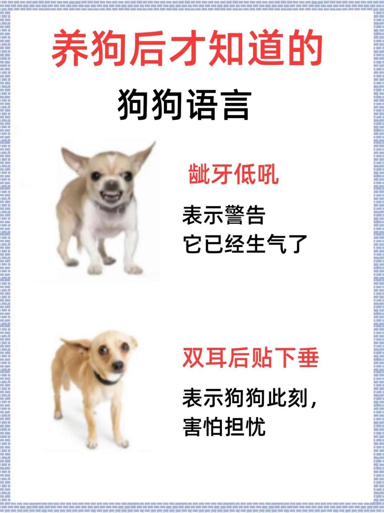 其一犬坐于前的意思简述