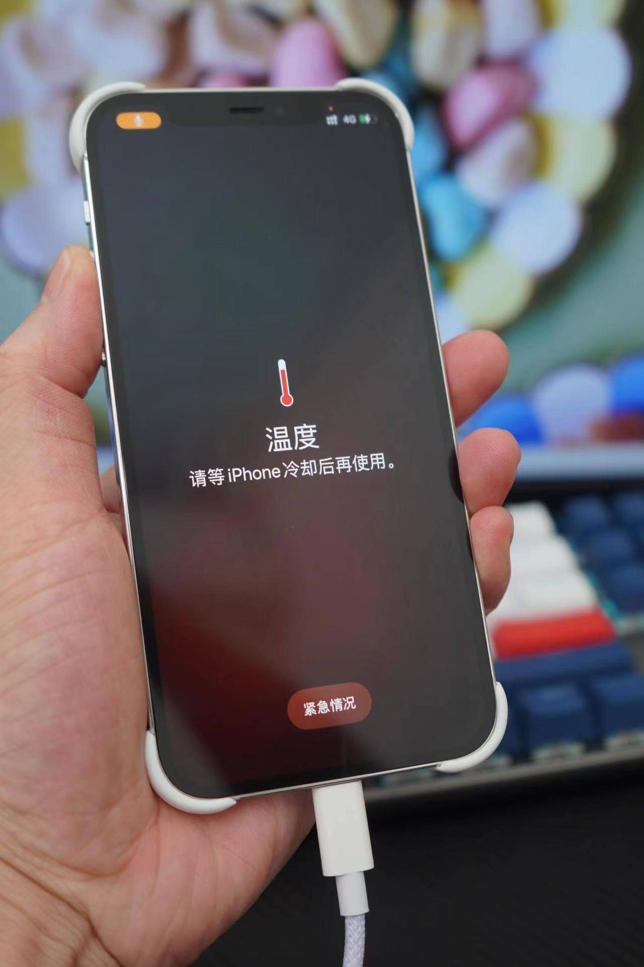 为何苹果手机设置的设备管理没有了