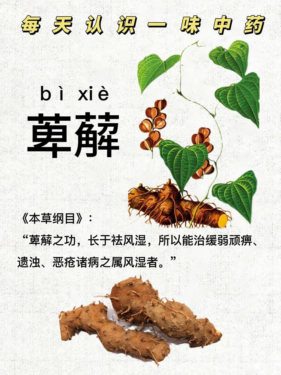 程氏萆薢分清饮的作用与功效及组成配方方歌