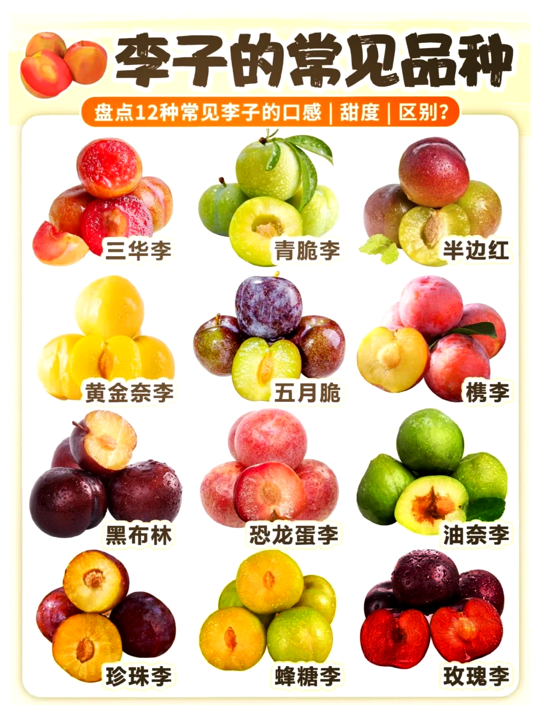 李子的成熟季节是几月份