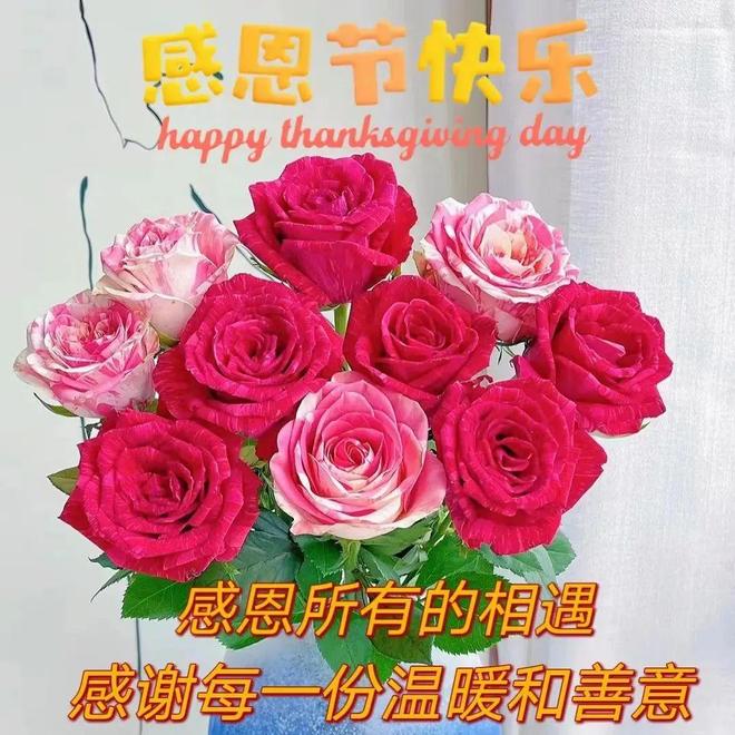 简短优美的感恩节祝福语大全
