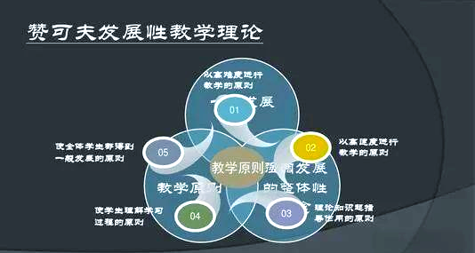 教育教学基本理论都包括哪些