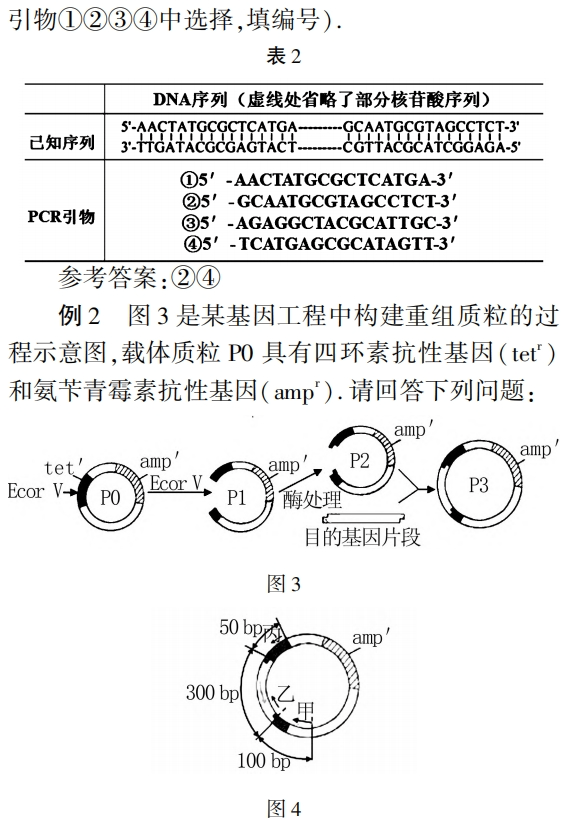 引物设计基本原则是什么