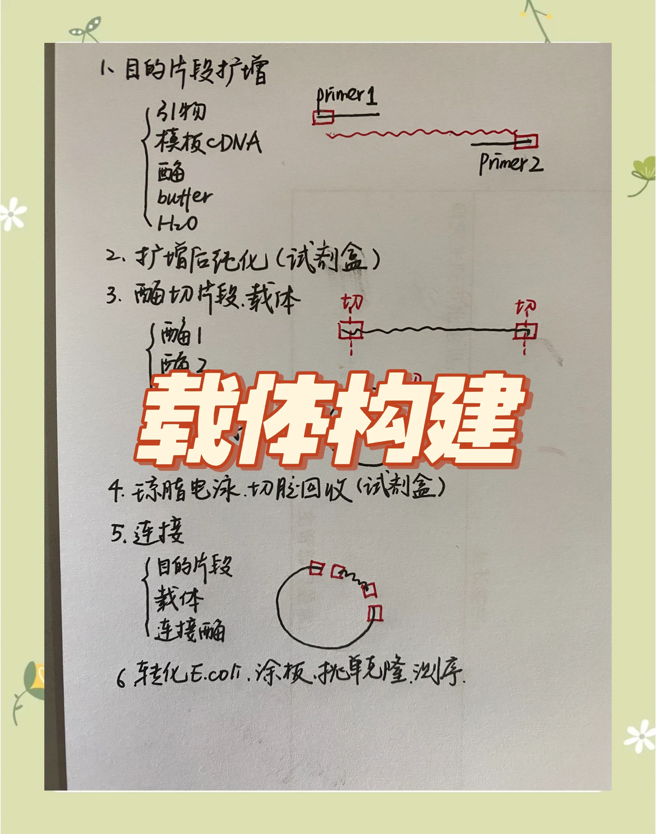 引物设计基本原则是什么