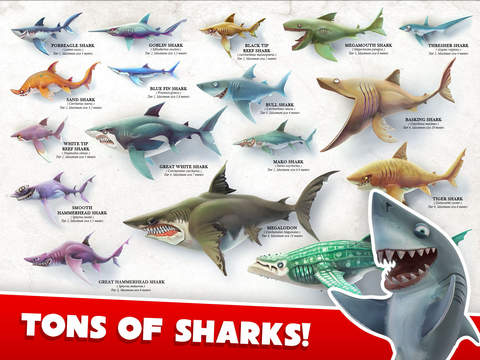 饥饿鲨世界狂暴群鲨是第几只鲨鱼