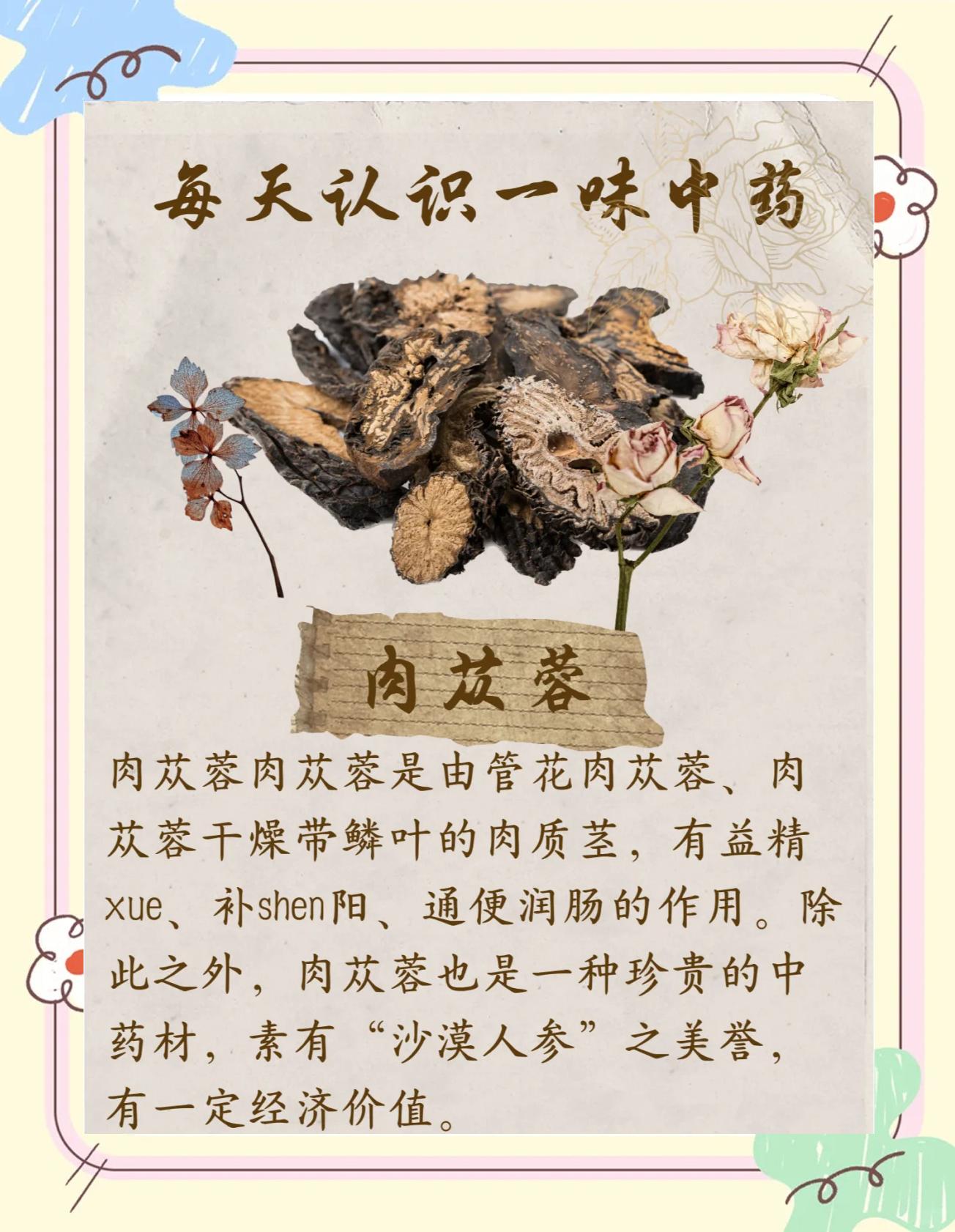 肉苁蓉可以直接吃吗肉苁蓉能生吃吗