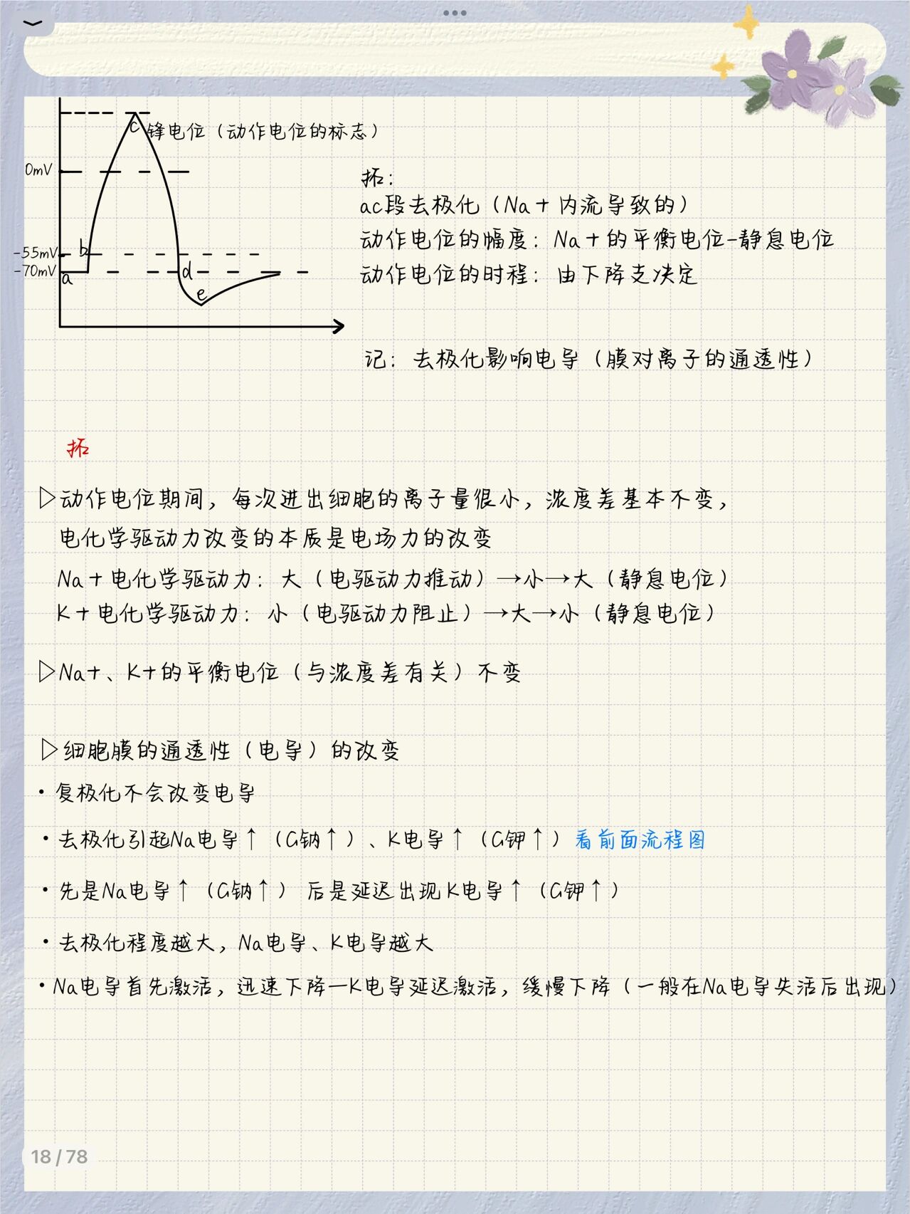 静息电位和动作电位产生的机制是什么