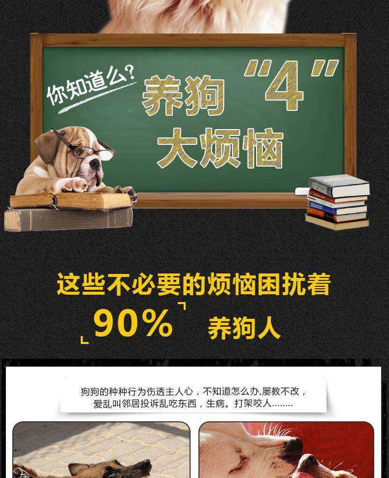 3种方法来停止邻居的狗叫扰民