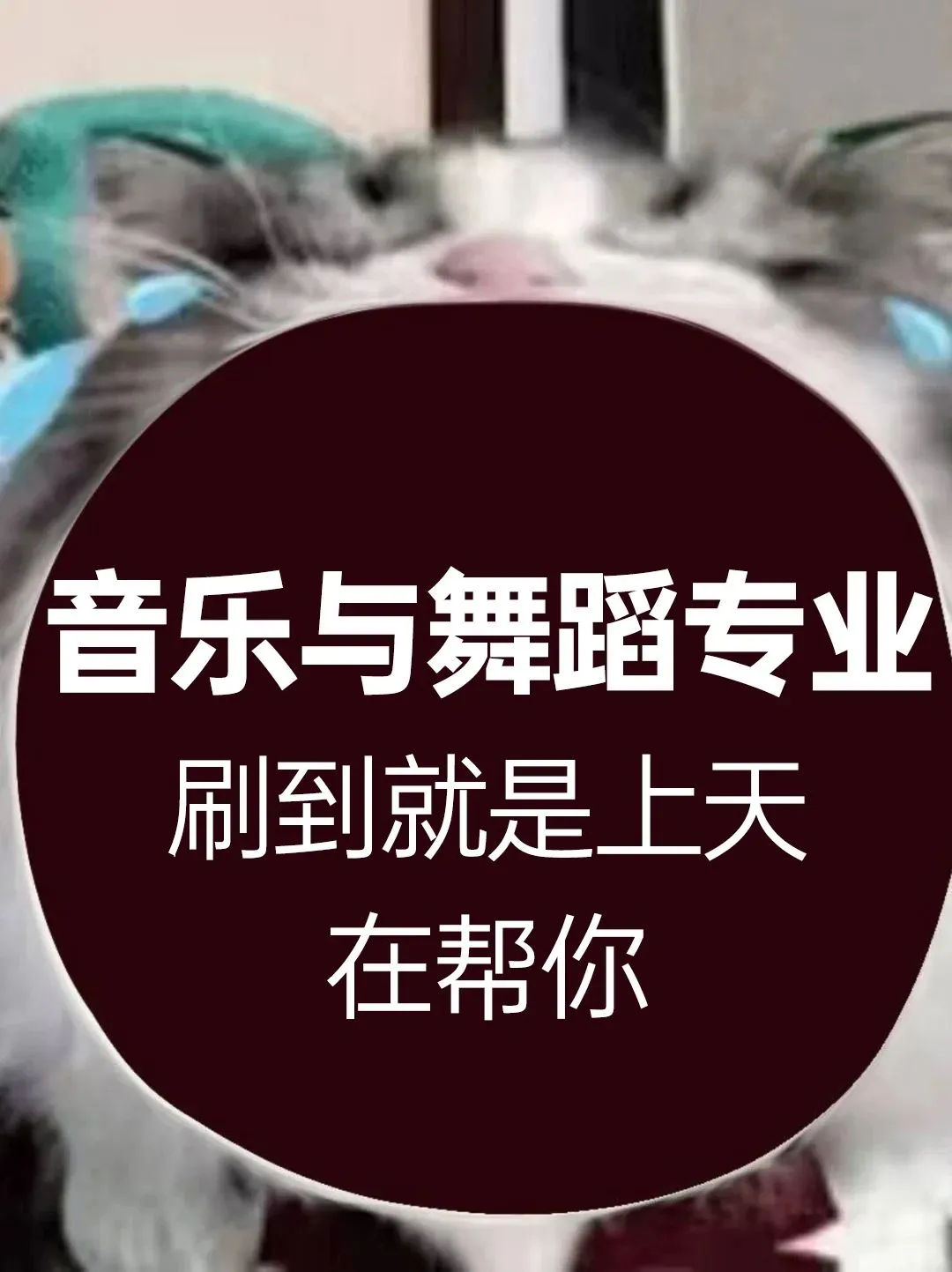 表演艺术专业是学什么的