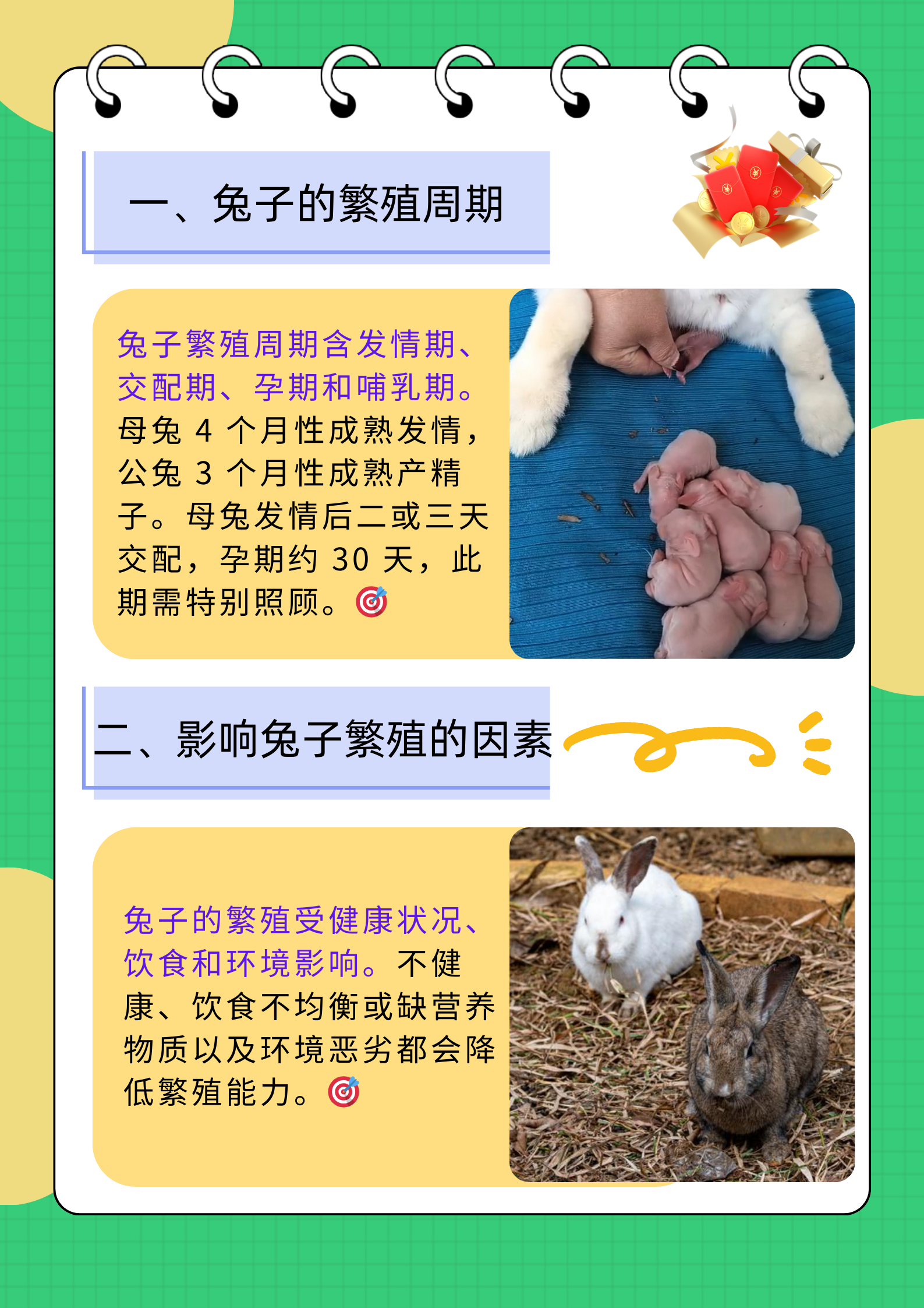 养殖兔技巧兔子如何养殖才好活