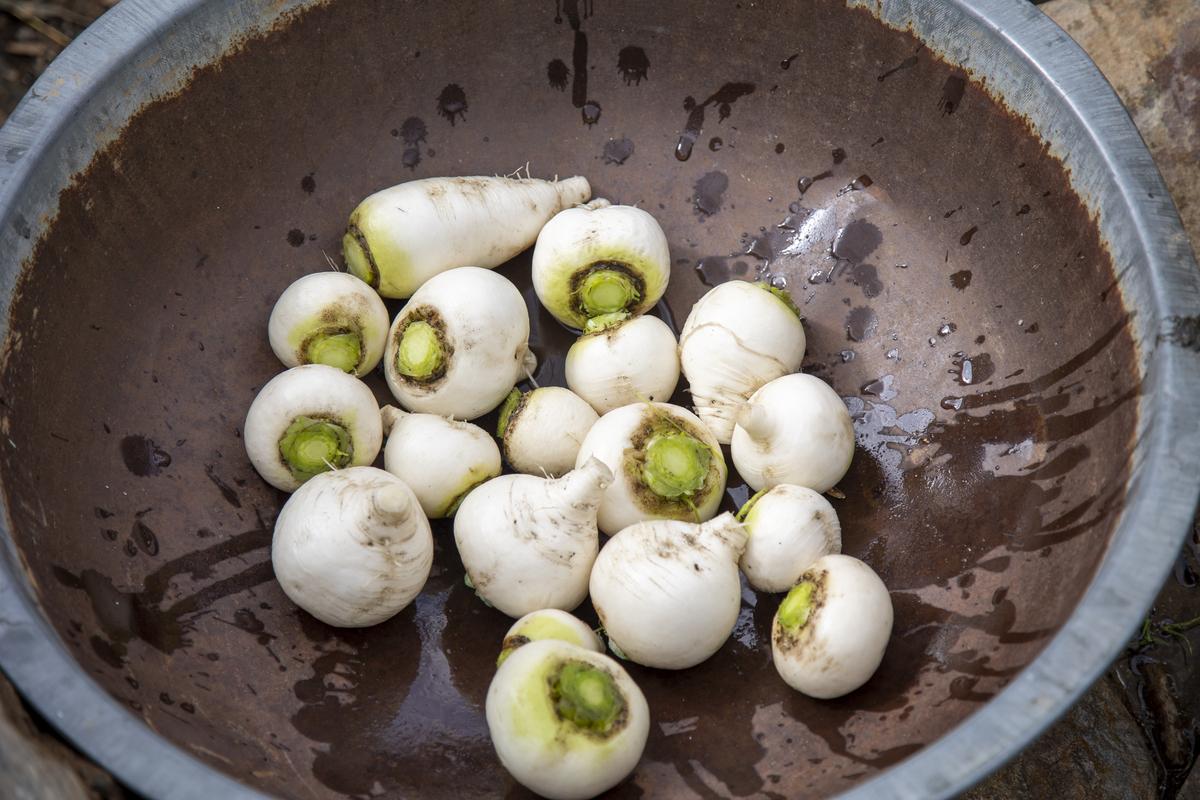 10斤糖醋蒜的做法比例是什么