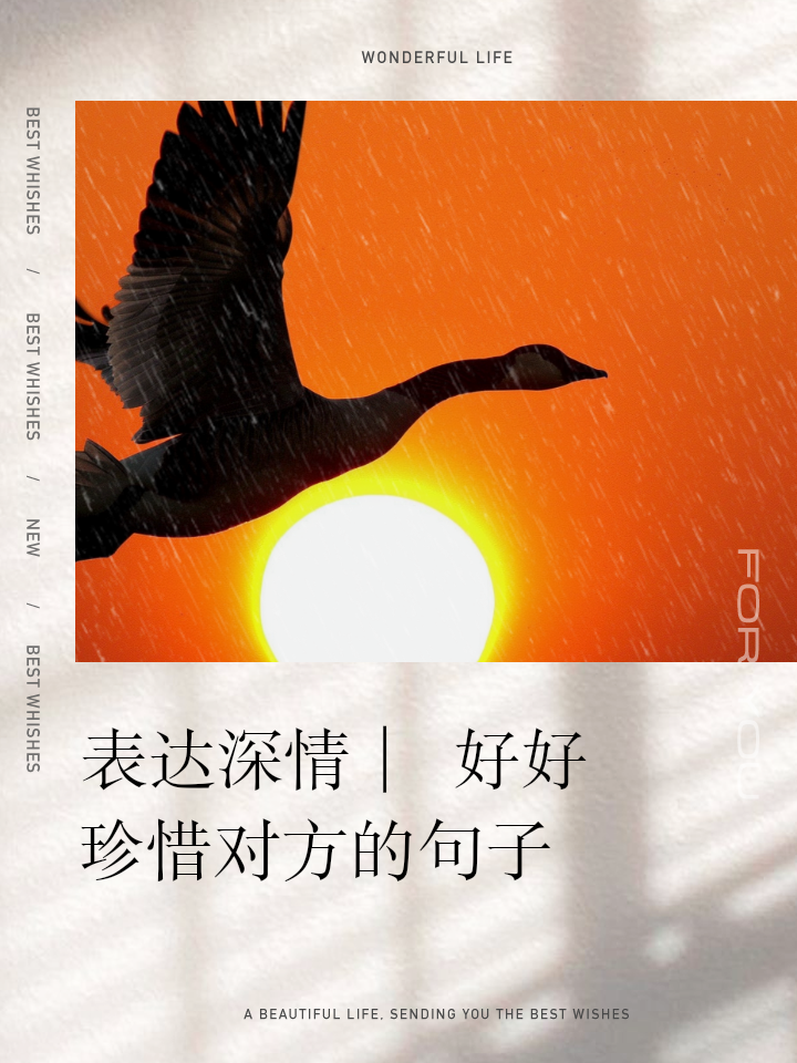 珍惜彼此感情的句子简短