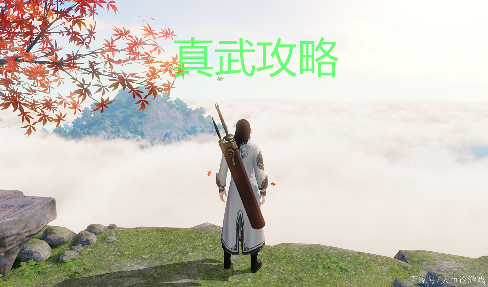 天涯明月刀真武介绍描述