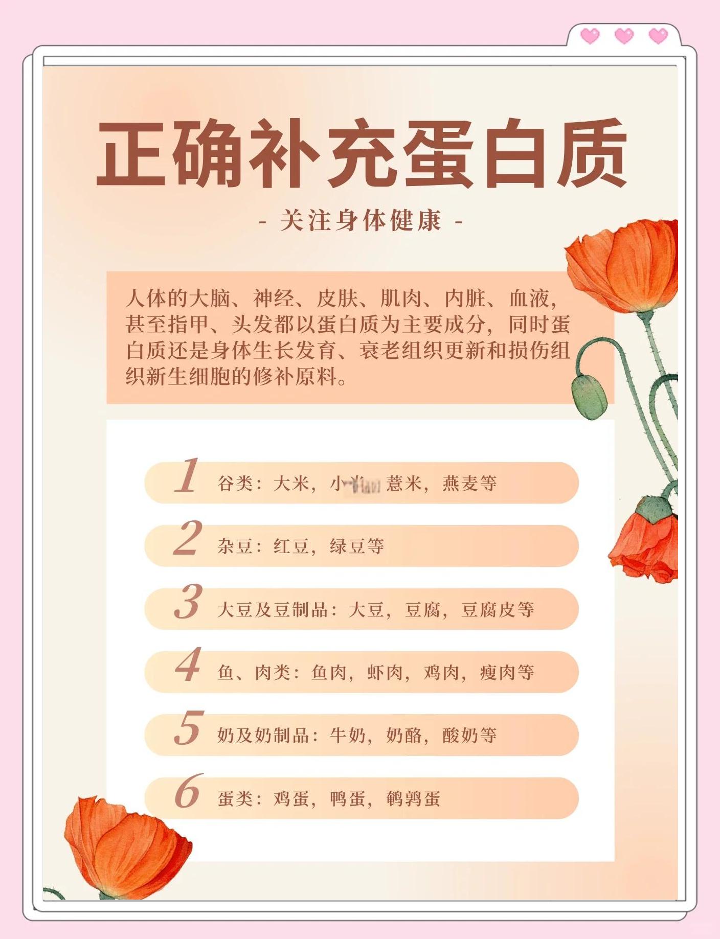 蛋白粉的功效与作用是什么