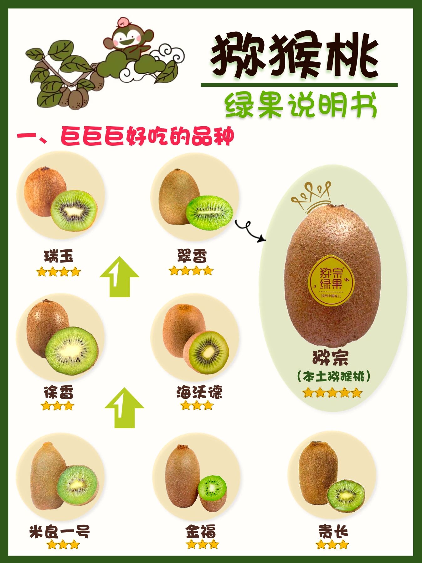 猕猴桃成熟季节是几月份