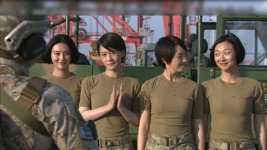 我是特种兵之火凤凰剧情介绍