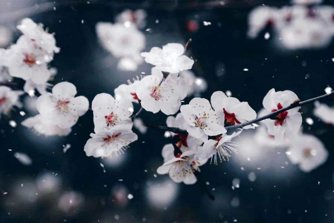 知音卡到底是什么?你真的了解吗?