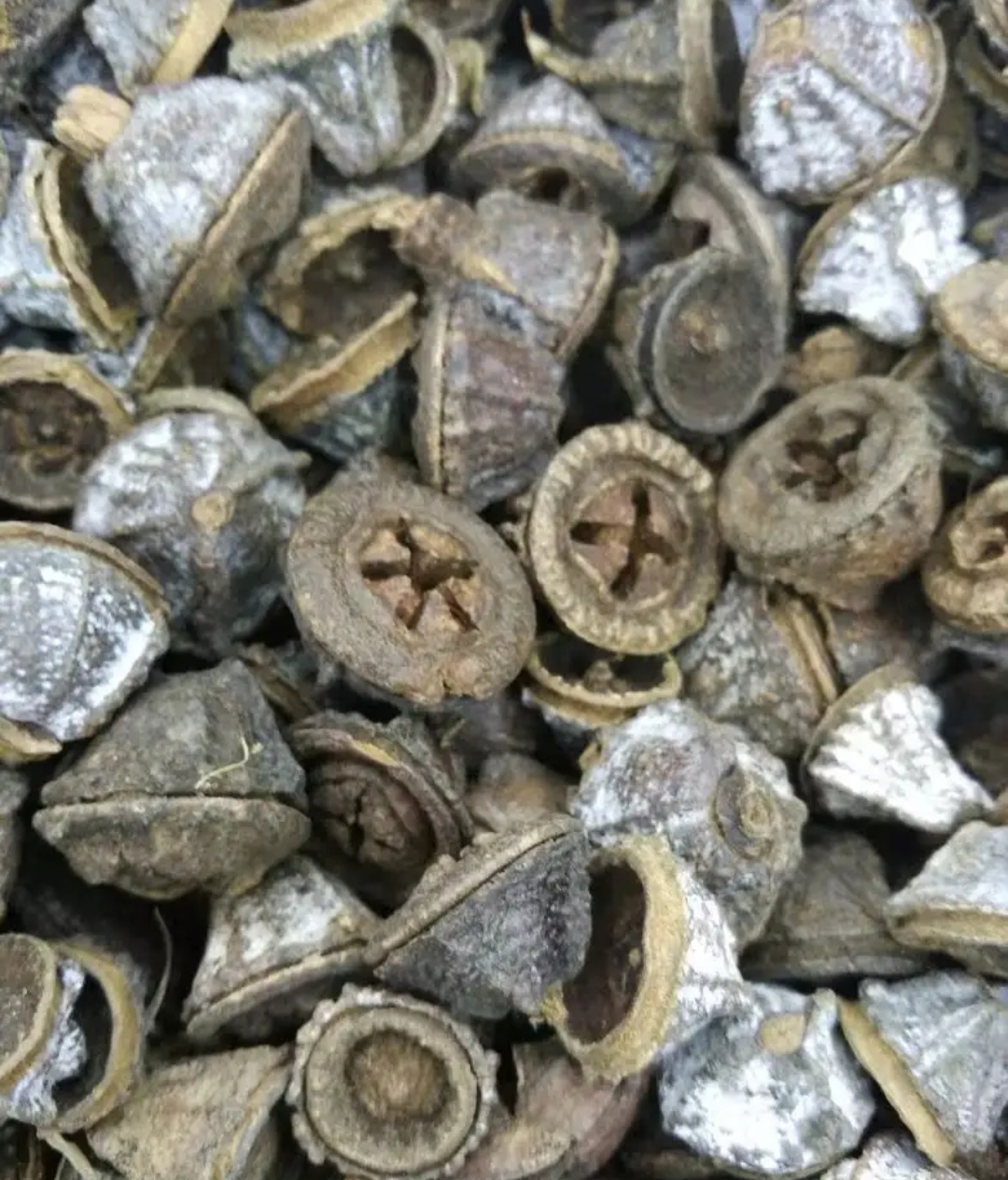 一口钟有什么功效与作用